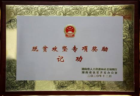201222脱贫攻坚专项奖励记功（省人社厅奖牌）
