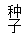 文本框: 种子