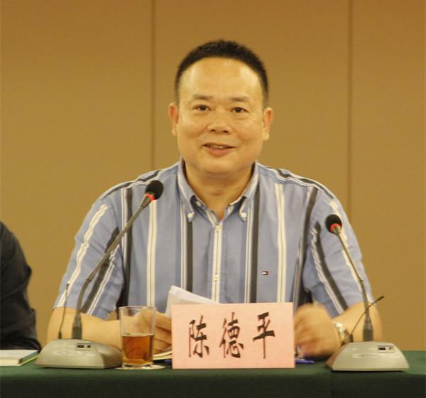 省工程办常务副主任、省电化教育馆馆长陈德平解读实施方法