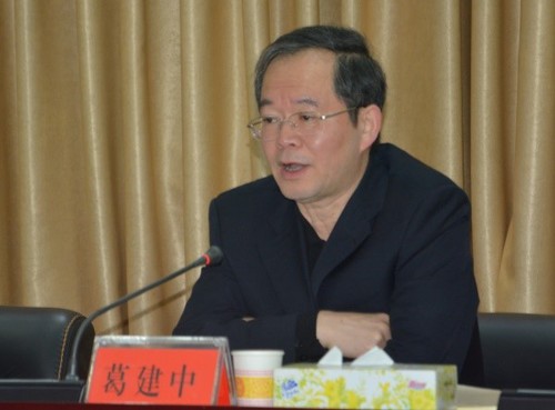 湖南省教育厅党组成员、副厅长、省委教育工委委员葛建中出席推进会并讲话。