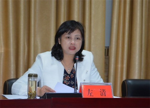 湖南省教育厅副巡视员左清主持推进会。