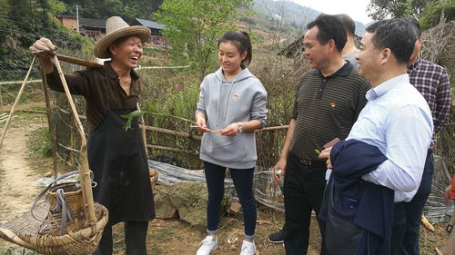 6与中药材种植农户交谈_看图王