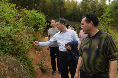 5调研横路村中药材种植_看图王