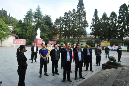 图片5