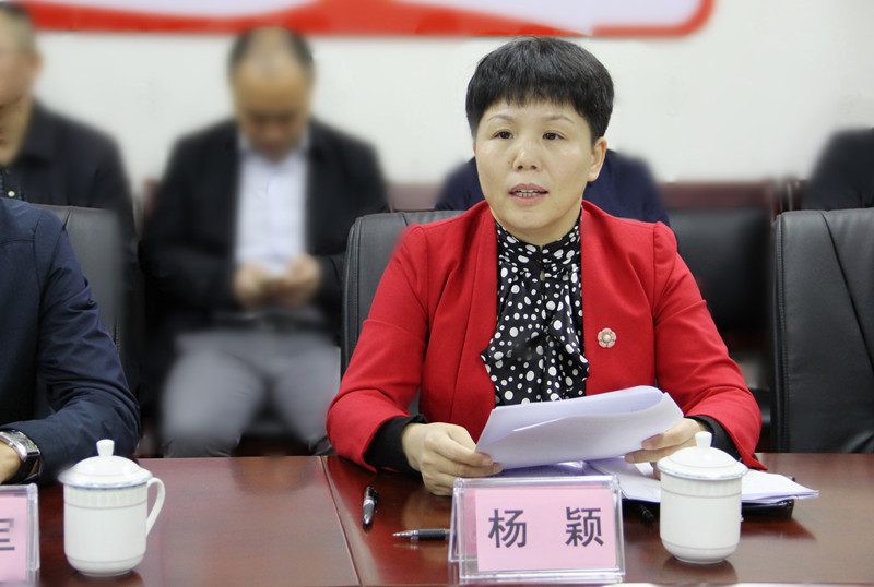 省电化教育馆馆长杨颖汇报工作