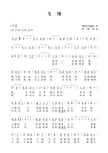 飞翔1